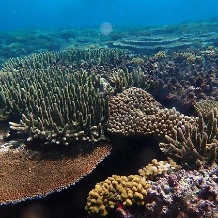 Fiji Lodge Vosa Ni Ua Savusavu Exteriér fotografie