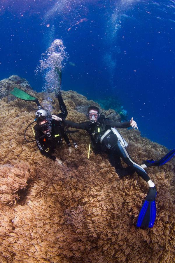 Fiji Lodge Vosa Ni Ua Savusavu Exteriér fotografie