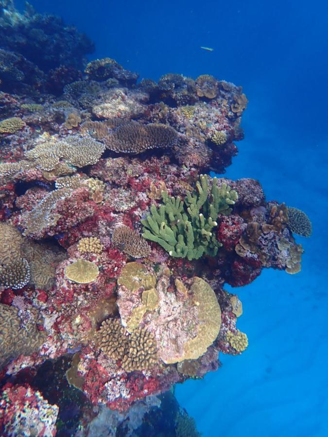 Fiji Lodge Vosa Ni Ua Savusavu Exteriér fotografie